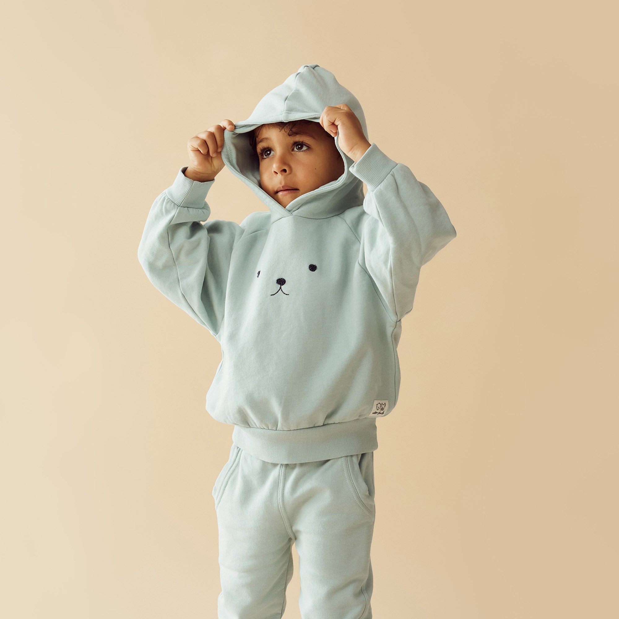 Organic Cotton Terry Hooded Sweatshirt for Men & Women - Eco-Friendly Comfort Wear for Casual Outfits, Lounge & Yoga