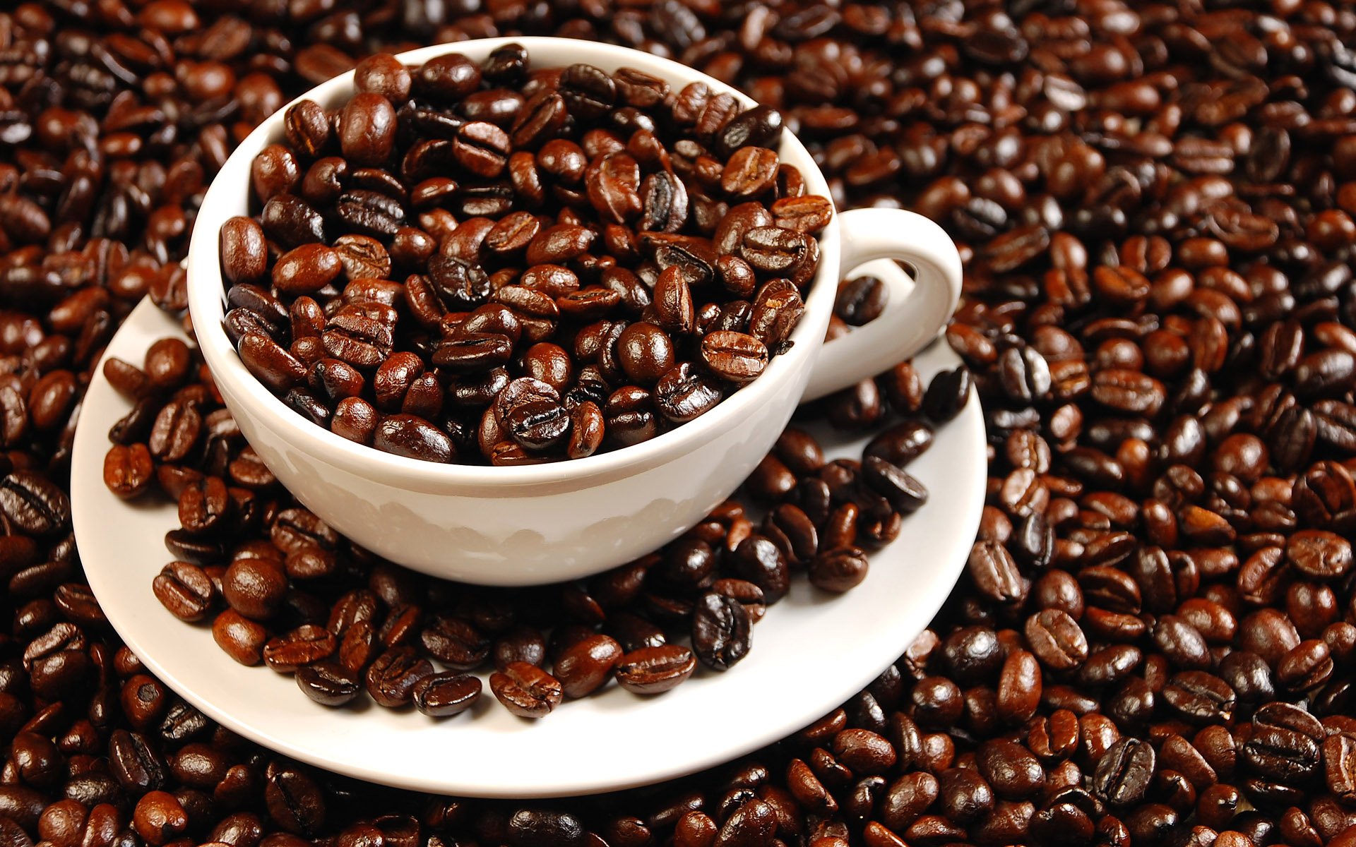 Fresh Roasted Chocolate Mint Flavored Arabica Coffee Beans - 5lb Bag | Premium Single-Origin Specialty Coffee for Home Brewing, Office & Gifts | USDA Certified Organic, Whole Bean Coffee for Drip, French Press & Espresso