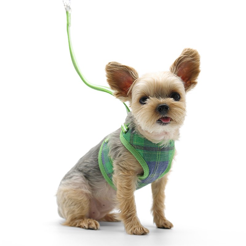 EasyGO Plaid Green Dog Harness - Adjustable & Reflective for Small to Medium Dogs - Perfect for Walking, Running & Outdoor Adventures