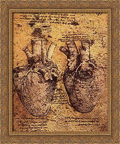Leonardo da Vinci Heart Anatomy Art - 20x24 Gold Ornate Wood Framed Canvas Print of Blood Vessels Drawing | Vintage Medical Decor for Doctor Office, Classroom & Home Wall Decor