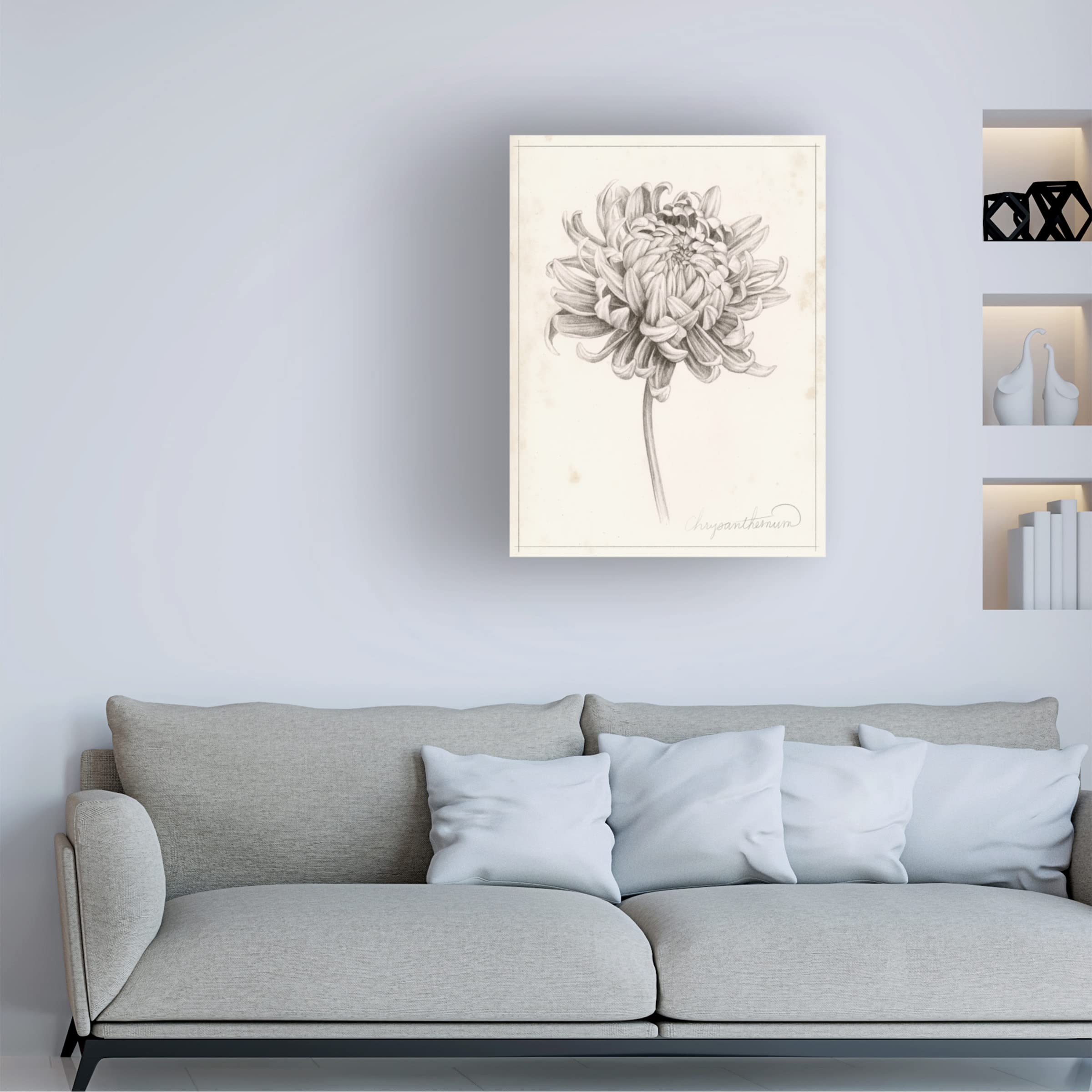 Grace Popp 'Graphite Chrysanthemum Study I' Canvas Wall Art Print - Elegant Floral Home Decor for Living Room, Bedroom & Office