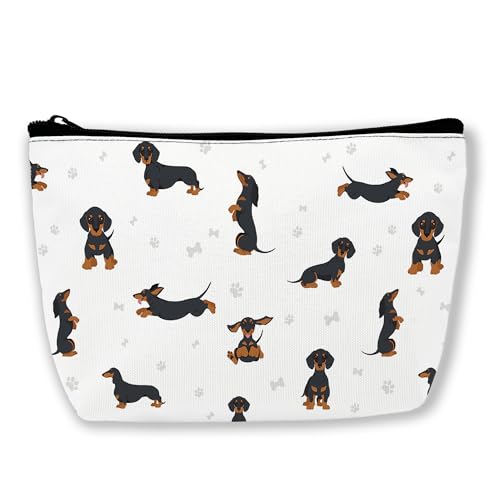 dachshund dog paws