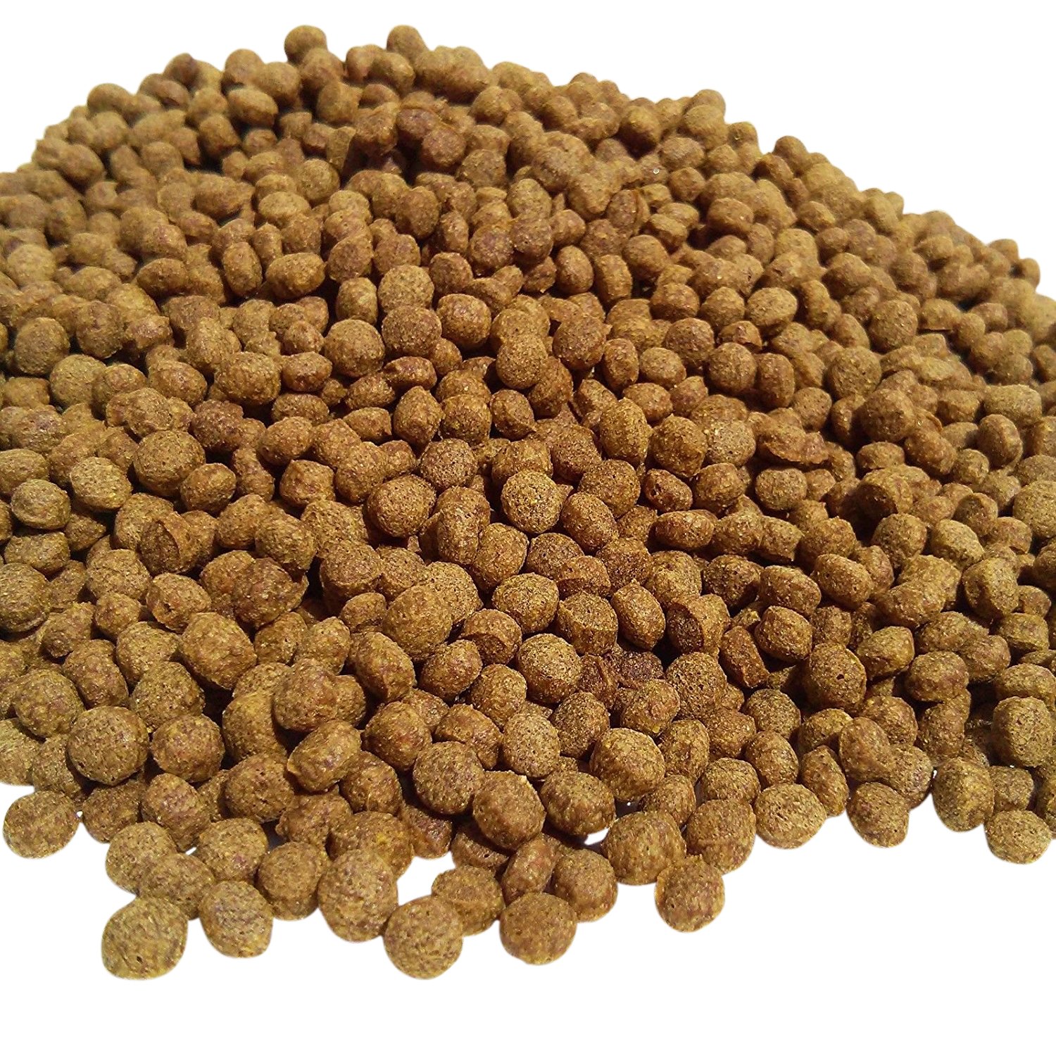 Premium Wheat Germ Floating Fish Food Pellets 3/16