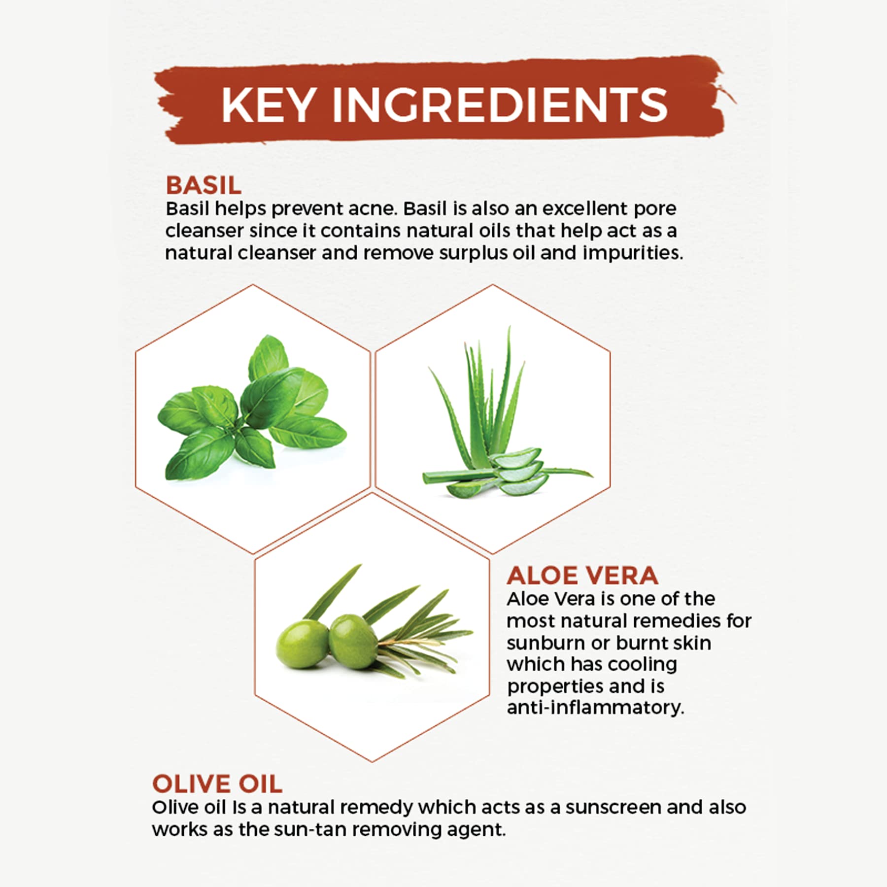Oshea Herbals Basilclean Cleansing Milk for Normal to Oily Skin - Oil Control & Hydrating Face Wash with Aloe Vera & Basil Extracts (120ml) | Gentle Daily Cleanser for Acne-Prone & Combination Skin | Perfect for Morning & Night Skincare Routine