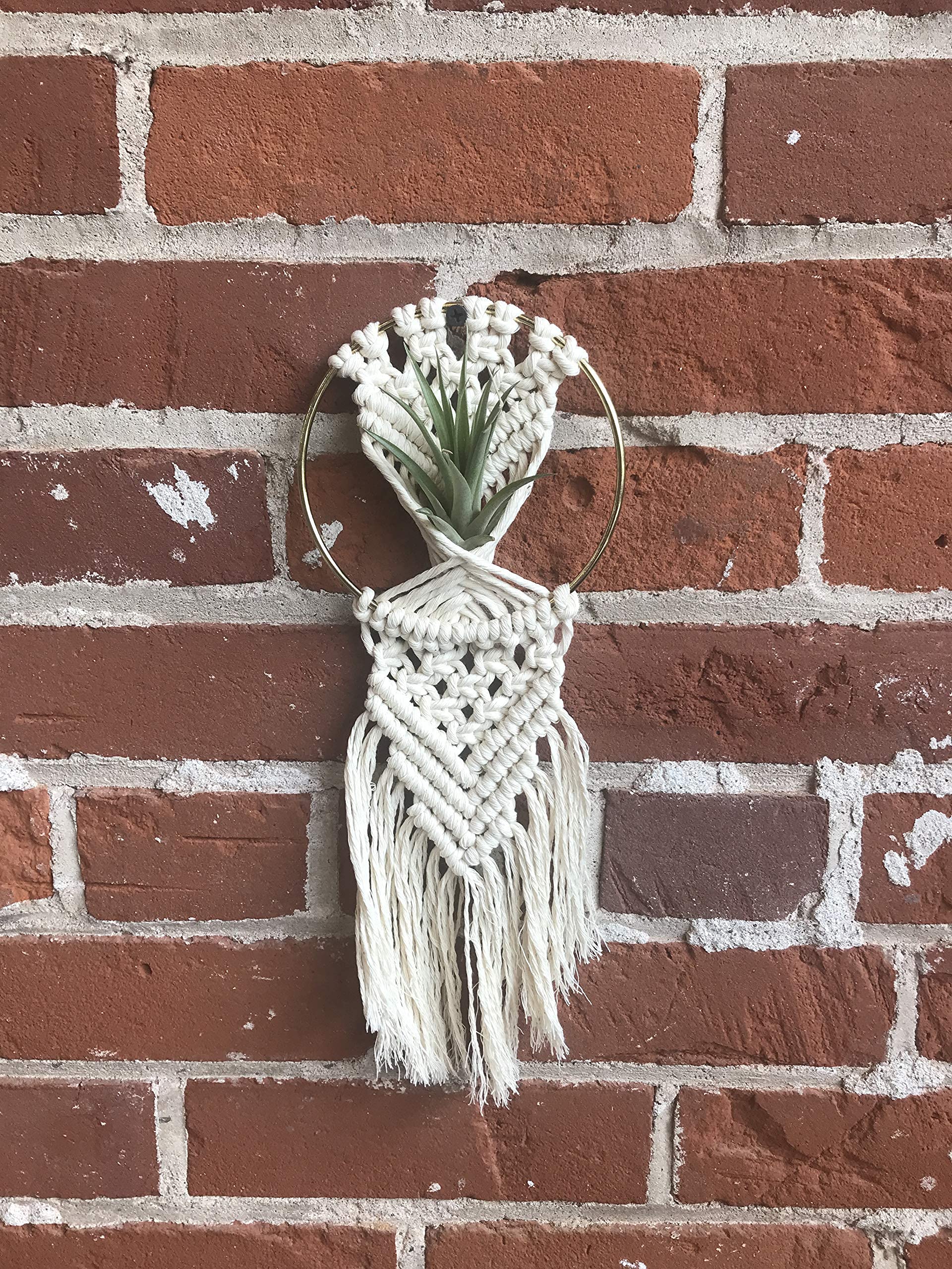 DIY Macrame Air Plant Hanger Kit - Handmade Boho Home Decor for Indoor Plants, Wall Hanging or Gift - Perfect for Living Room, Bedroom, Balcony & Office Decor