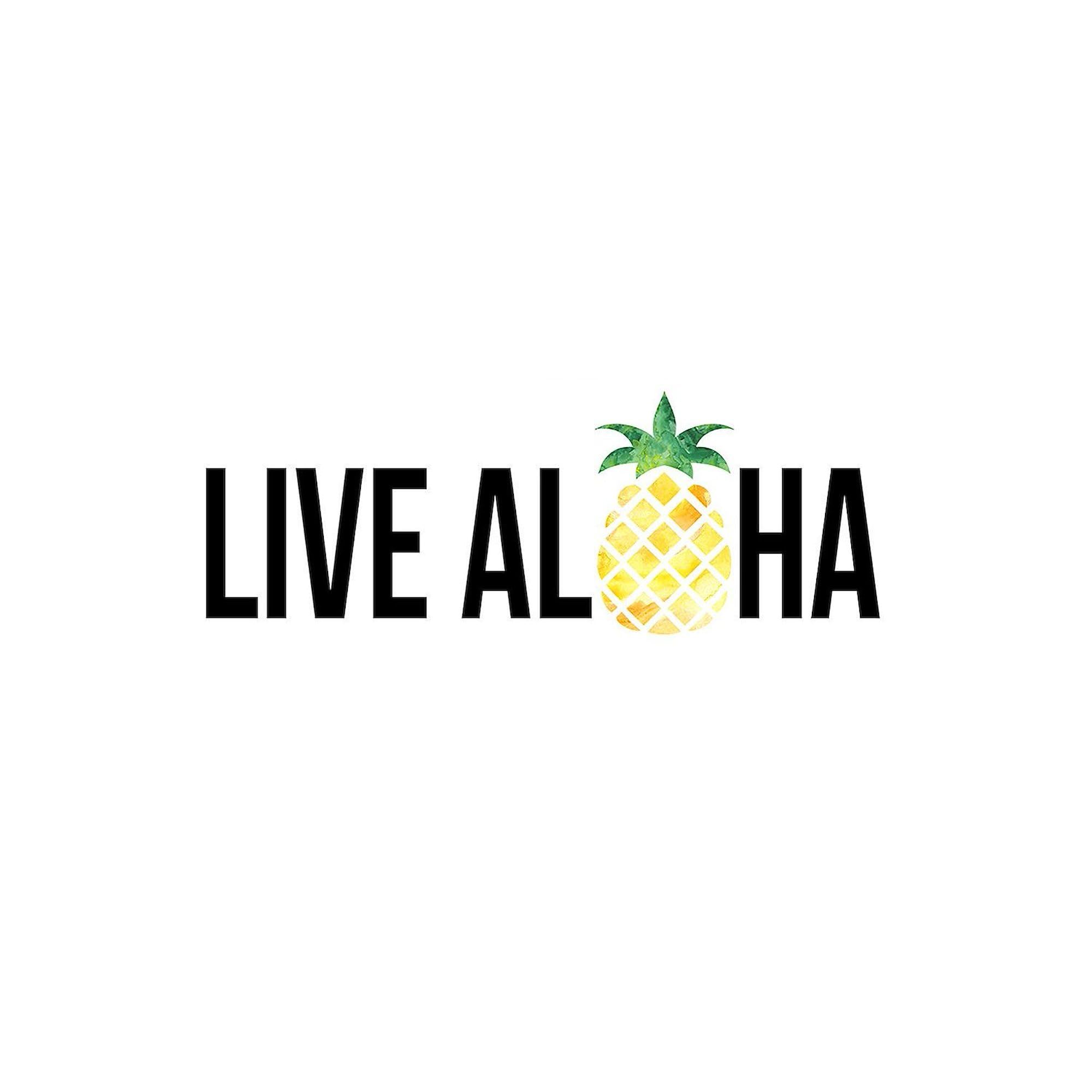 Live Aloha Oval Car Bumper Sticker - Hawaiian Decal for Cars & Laptops