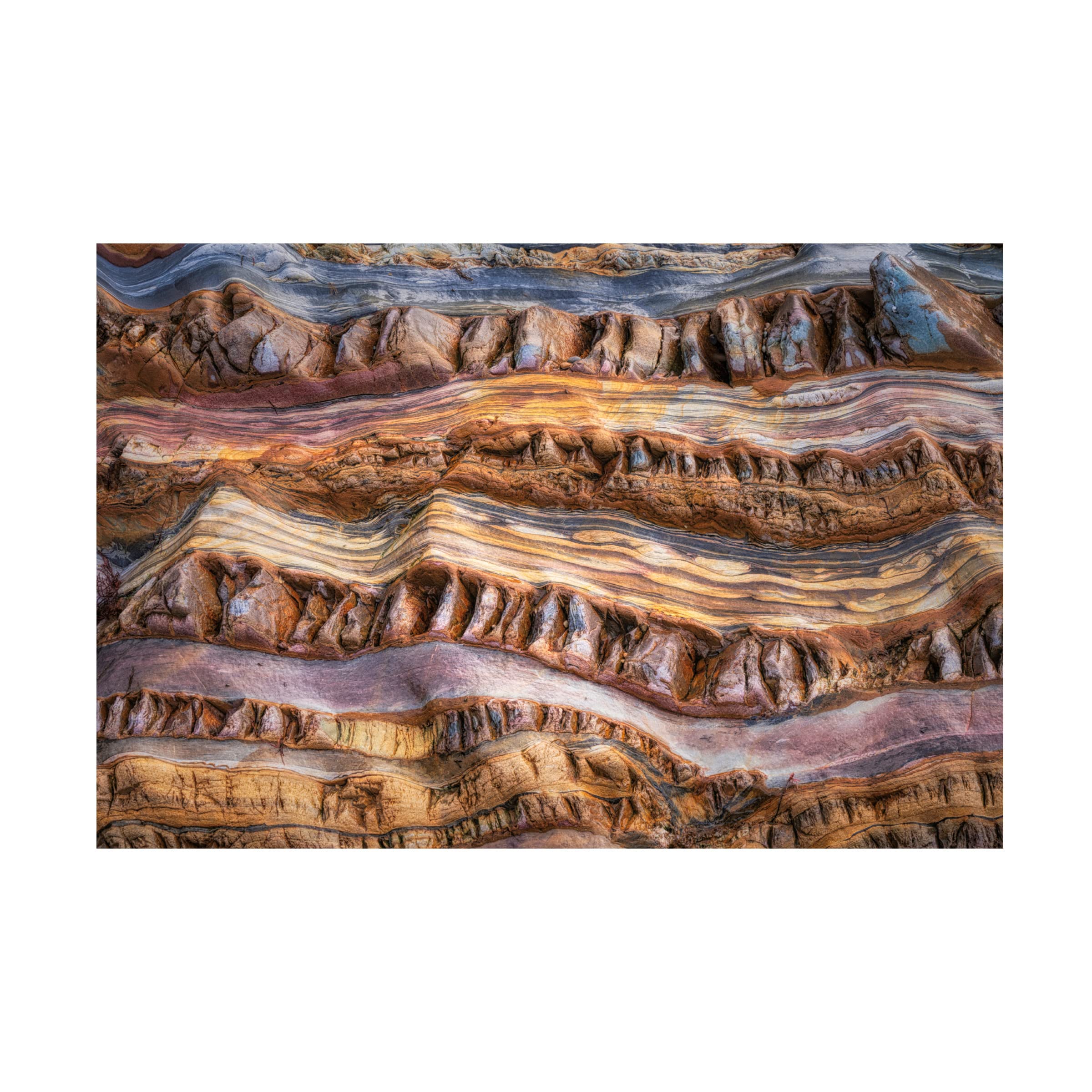 Trademark Fine Art 'Abstractions In Nature' Canvas Wall Art by Saskia Dingemans - Modern Abstract Painting for Living Room, Bedroom & Office Decor