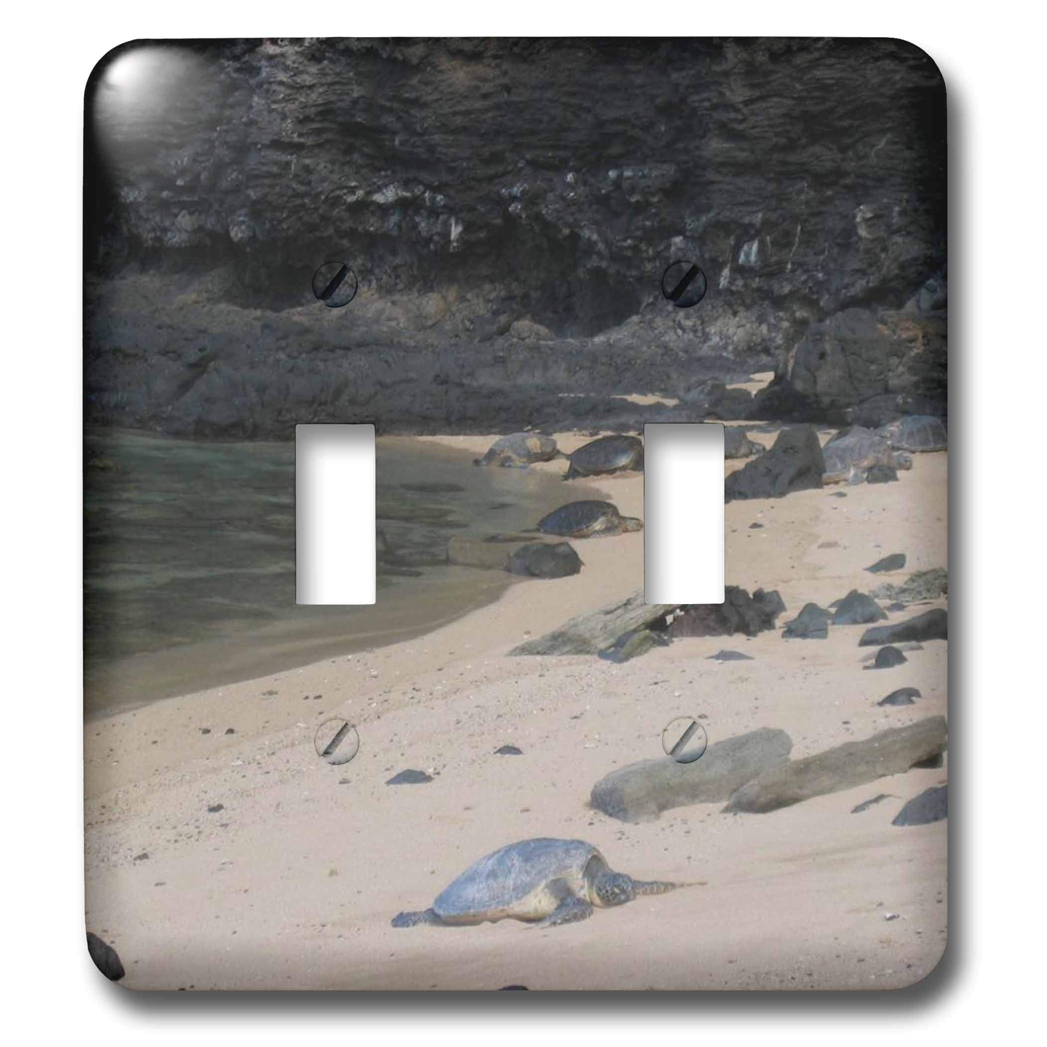 3D Toggle Switch Cover - Hawaii Sea Turtles Design, Double Rocker Switch Plate Decor for Home, Office, Bedroom (3dRose LLC lsp_22975_2) | Perfect for Beach House, Kids Room & Tropical Theme Decor