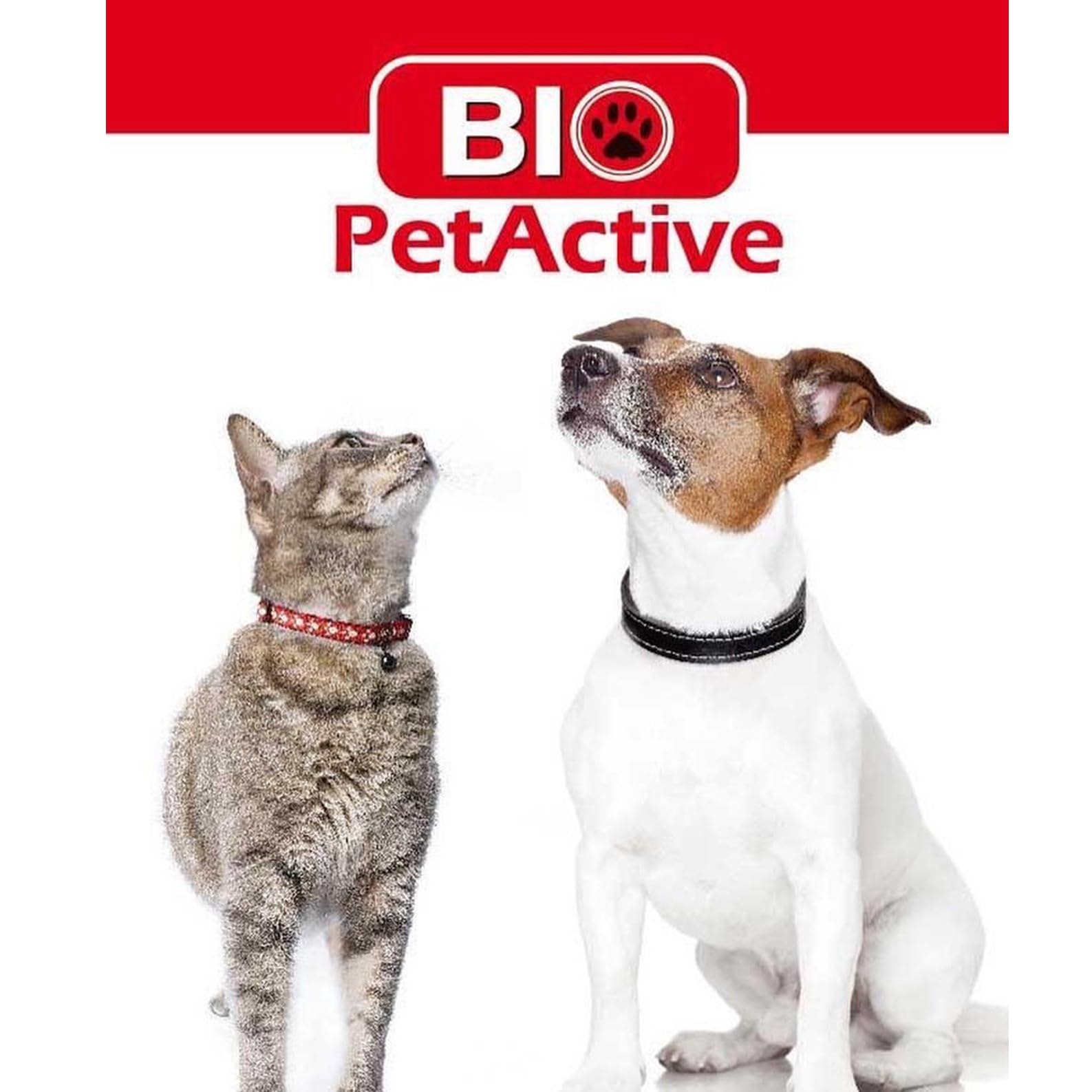 Bio Pet Active Kitten Milk Replacer Powder - Nutrient-Rich with Vitamins, Minerals & Taurine for Kittens & Nursing Cats | Easy Digest Formula | 7.05 oz | Perfect for Newborn Kittens, Orphaned Kittens & Weaning Kittens