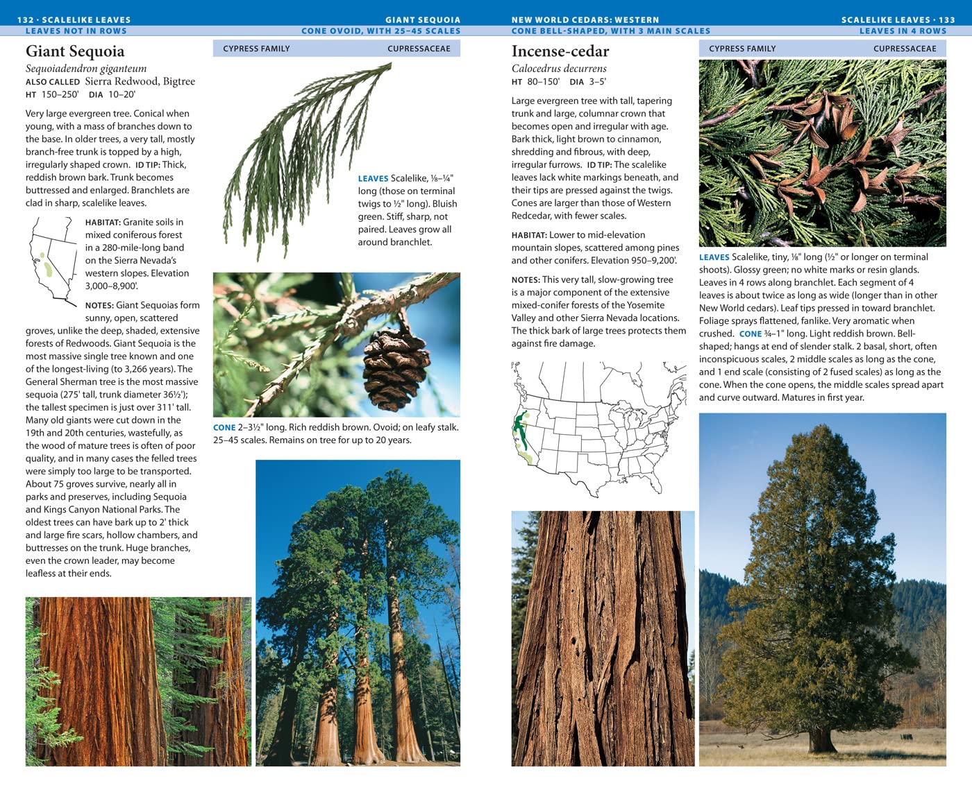 National Wildlife Federation Field Guide to Trees of North America - Comprehensive Tree Identification Book for Hikers, Campers & Nature Enthusiasts