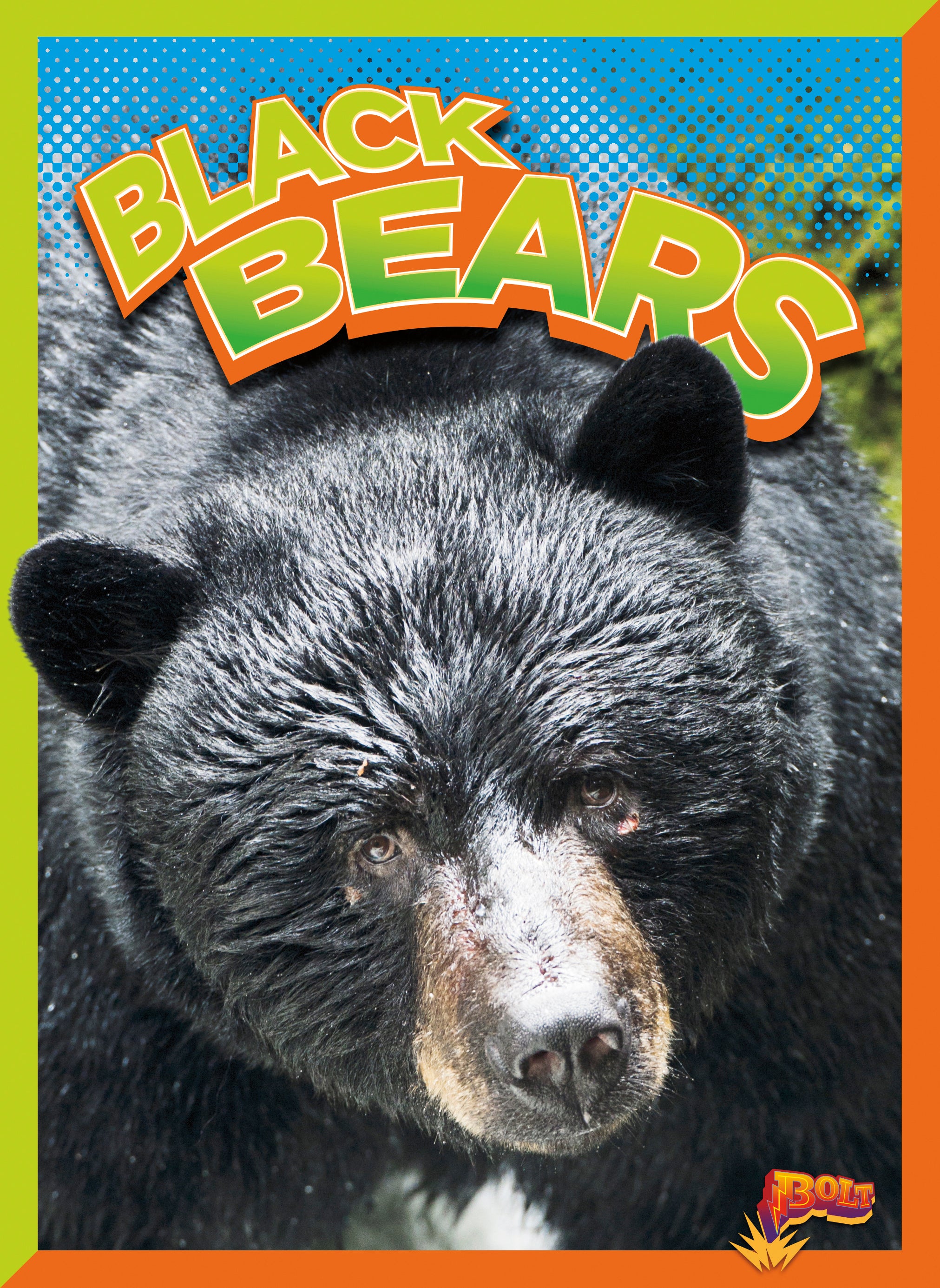 Black Bears - Wild Animal Kingdom | Facts, Habitat & Behavior | Perfect for Wildlife Enthusiasts & Nature Lovers