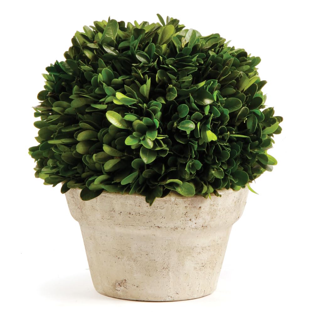 NAPA Home & Garden Artificial Boxwood Ball Topiary in Decorative Pot - Medium Size for Indoor/Outdoor Decor, Table Centerpiece, Wedding & Event Decorations