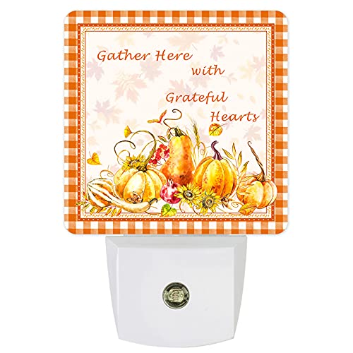 ThanksgivingFGE7556