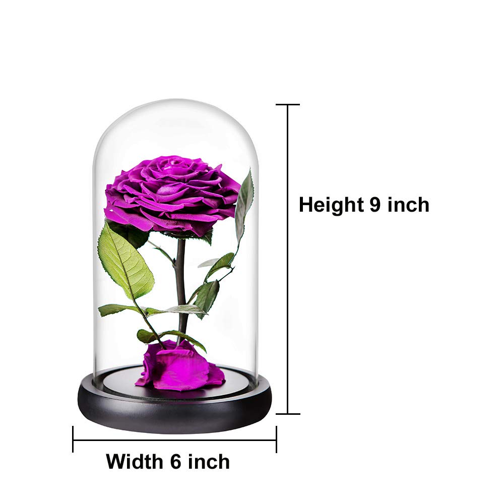 Handmade Real Preserved Purple Roses in Glass Dome - Never Wither Romantic Gift for Her, Mother's Day, Birthday, Anniversary - Perfect for Home Decor, Wedding Centerpieces & Special Occasions (9 inch, Purple)