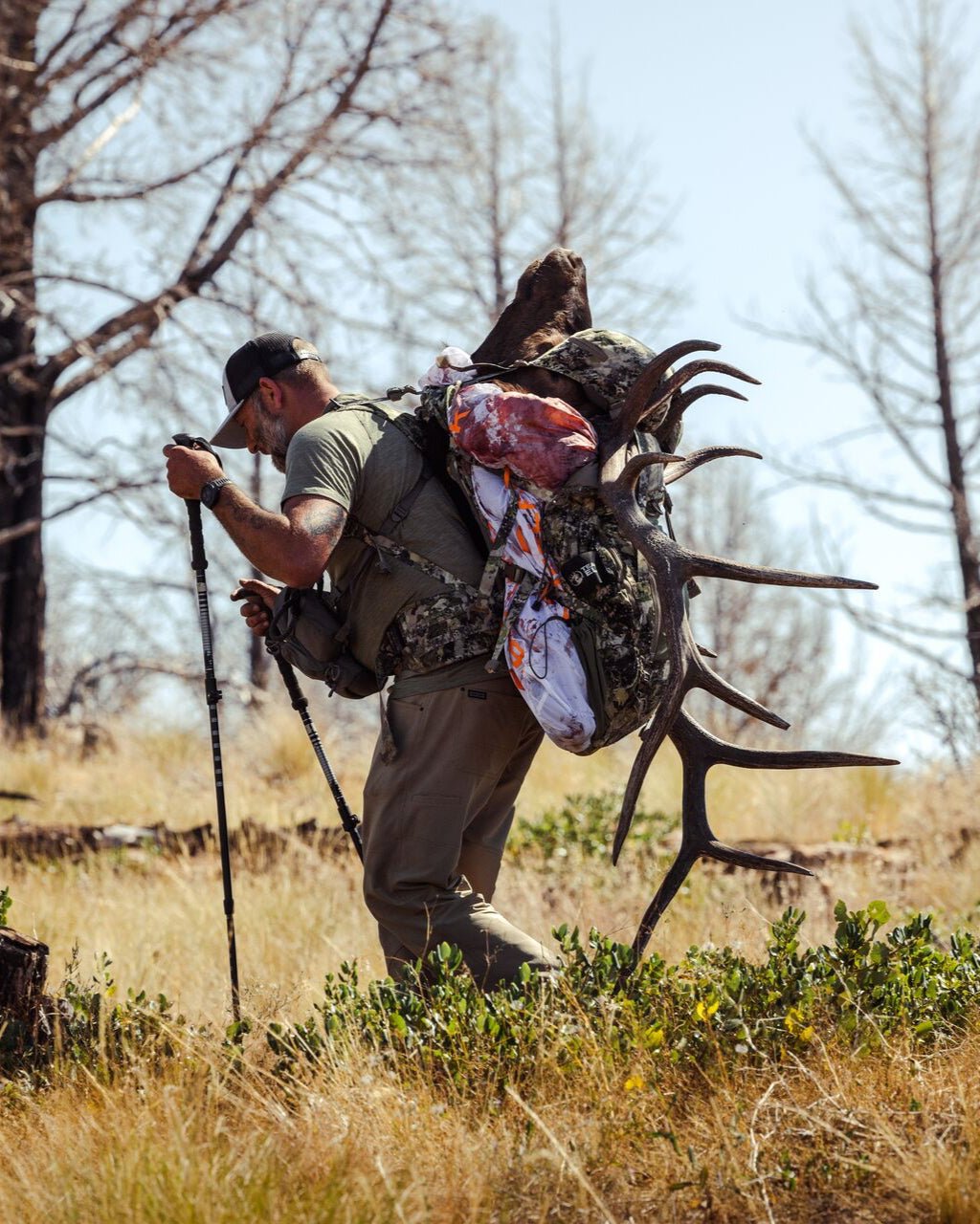 Team Elk V2 - Premium Hunting Gear & Outdoor Equipment for Elk Hunting, Camping & Wilderness Adventures