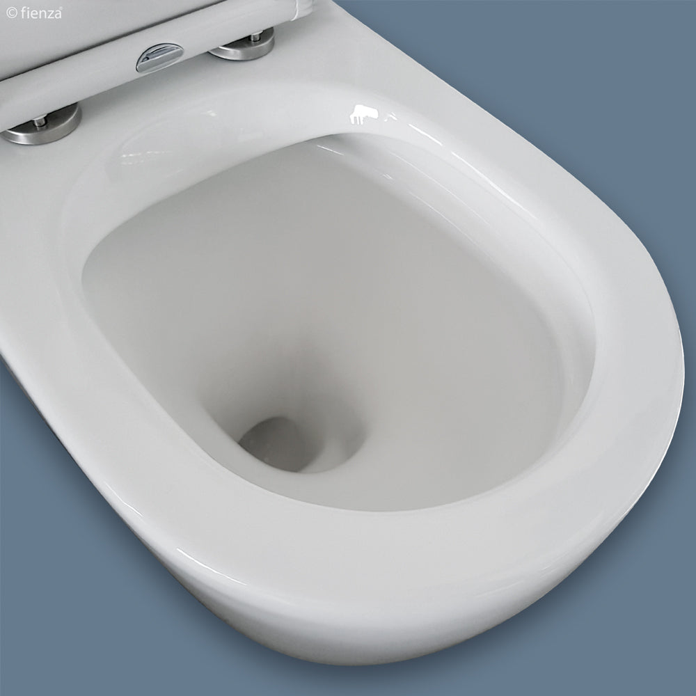Fienza Delta Back to Wall Toilet Suite - Modern One-Piece Elongated Bowl for Small Bathrooms, WaterSense Certified for Efficiency, Perfect for Home & Commercial Use