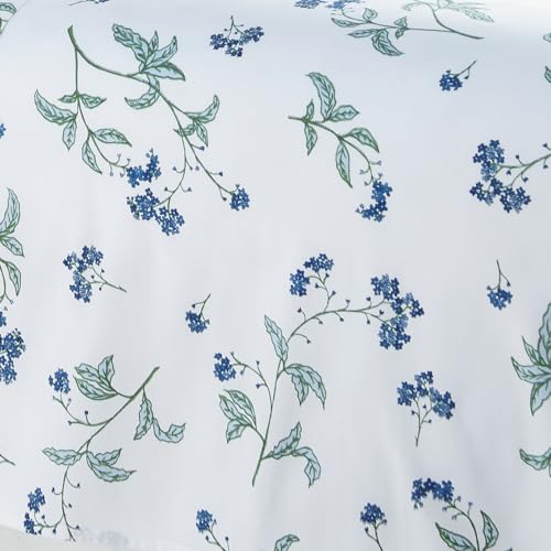 29 - Myosotis White