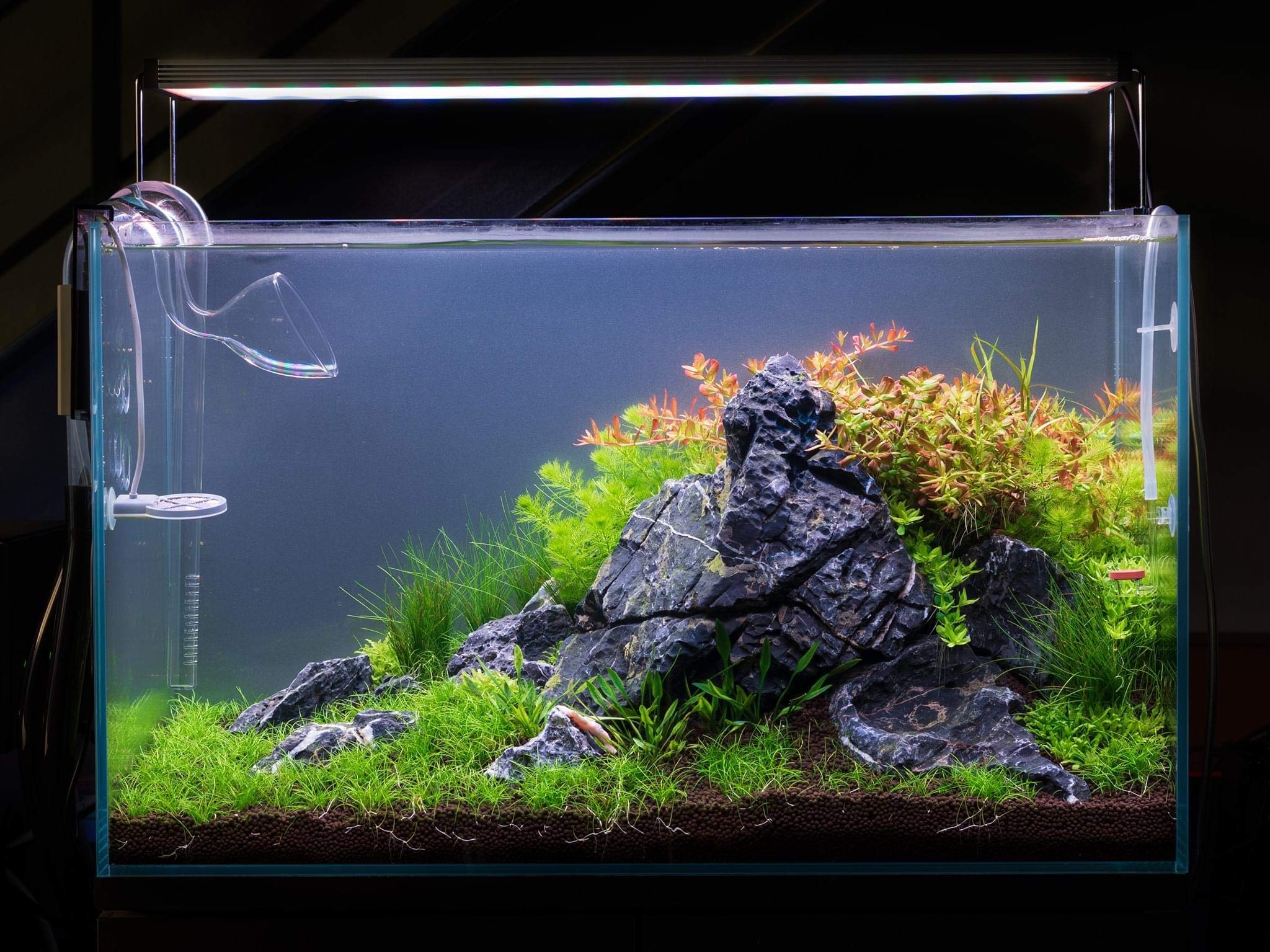 Twinstar 900SA Ver. 3 LED Aquarium Light for Planted Tanks - Full Spectrum Lighting for Freshwater Aquascaping | Perfect for Aquatic Plants, Nano Tanks & Reef Aquariums