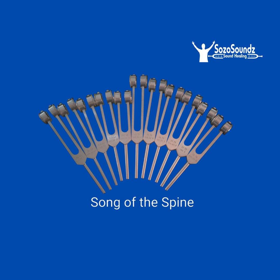 Song of the Spine Set of 12 Tuning Forks - Professional Healing Frequency Tools for Sound Therapy, Chakra Balancing & Energy Work - Perfect for Holistic Practitioners, Yoga & Meditation