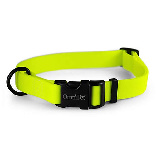 Neon Yellow