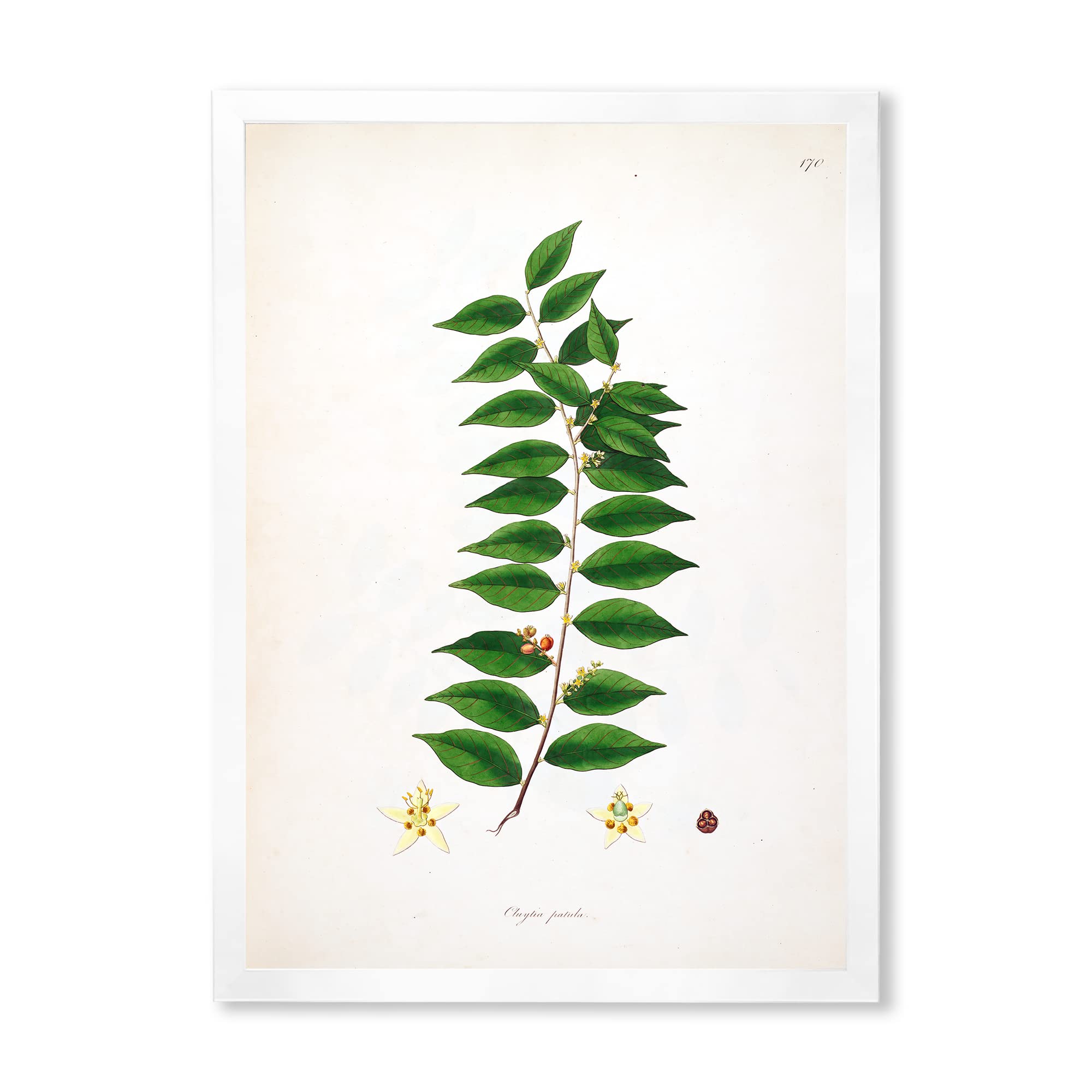 Vintage London Plants VI Farmhouse Framed Wall Art - Botanical Home Decor for Living Room, Bedroom & Office - Perfect for Farmhouse, Cottage & Vintage Style Interiors