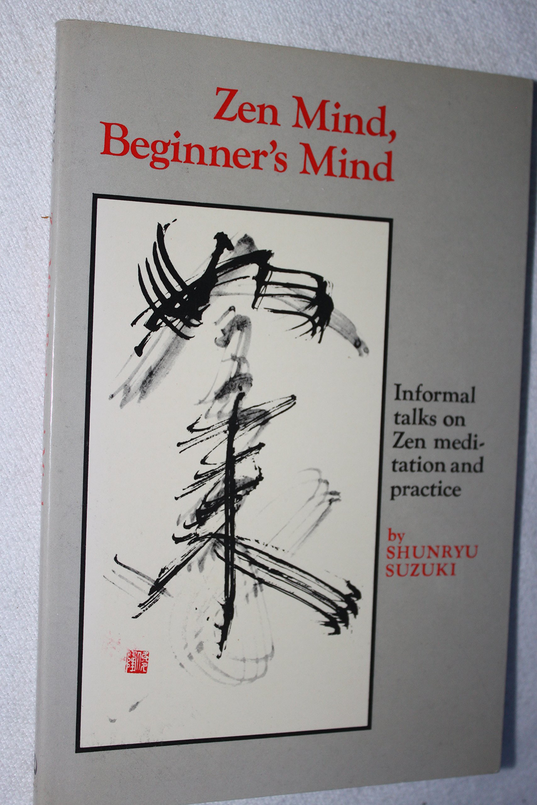 Finding Peace in the Chaos: A Journey with Zen Mind, Beginner's Mind
