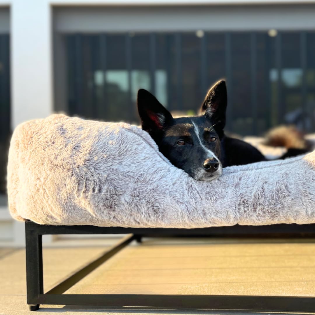 Premium Modern Elevated Dog Bed - Large 40x32x18 Inch Luxury Raised Pet Bed for Indoor/Outdoor Use - Snow & Brown Aesthetic Design for Comfortable Sleeping & Lounging