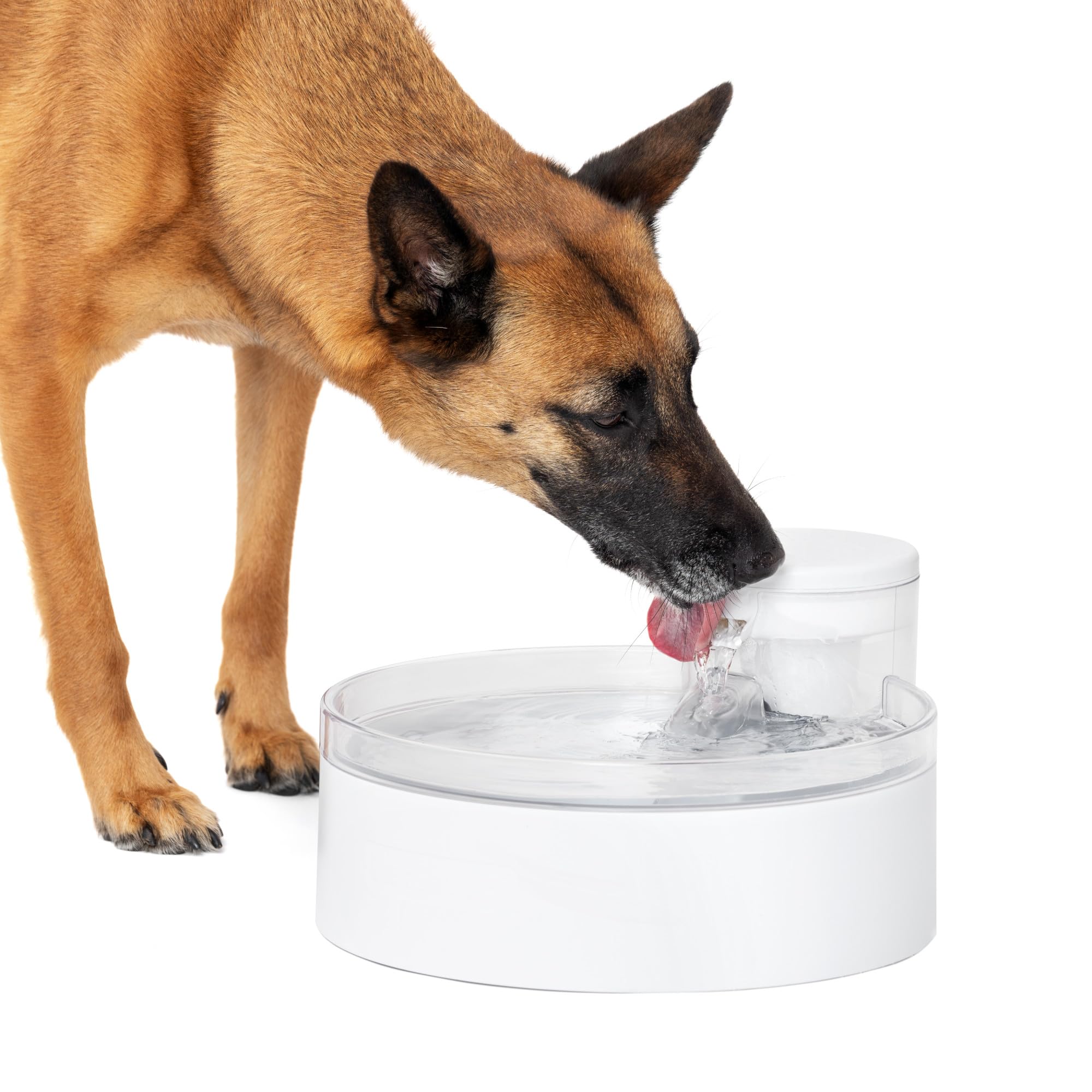 PetSafe Outlast Pumpless Dog Water Fountain 128oz - Automatic Water Dispenser for Dogs & Cats - BPA-Free, Dishwasher Safe with Easy Assembly & Cleaning - Includes Water Filter - Perfect for Home, Office & Multi-Pet Households