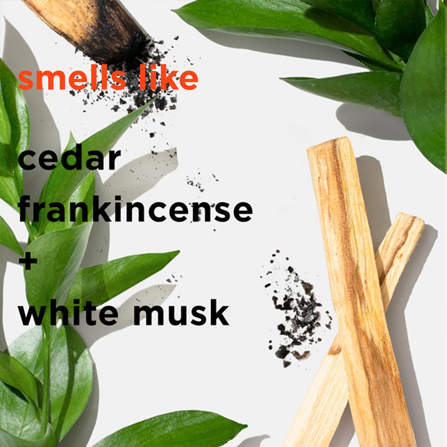 Rosie Jane Dylan Eau De Parfum Spray for Women - Vegan, Cruelty-Free Fragrance with Cedar, Frankincense & White Musk Notes - 50ml Clean Essential Oil Mist - Perfect for Daily Wear, Office & Romantic Dates