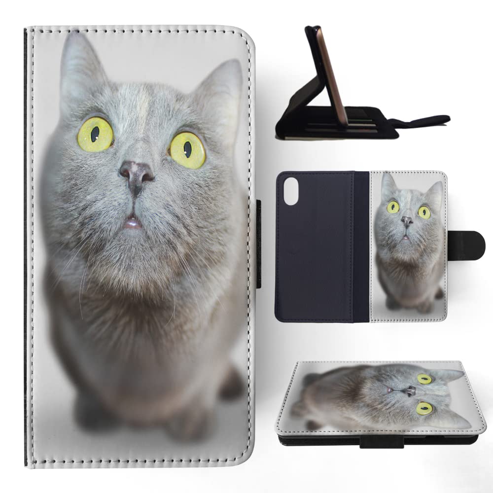 Adorable Grey Cat Kitten Flip Wallet Phone Case for Apple iPhone X & Xs - Perfect for Cat Lovers & Everyday Use