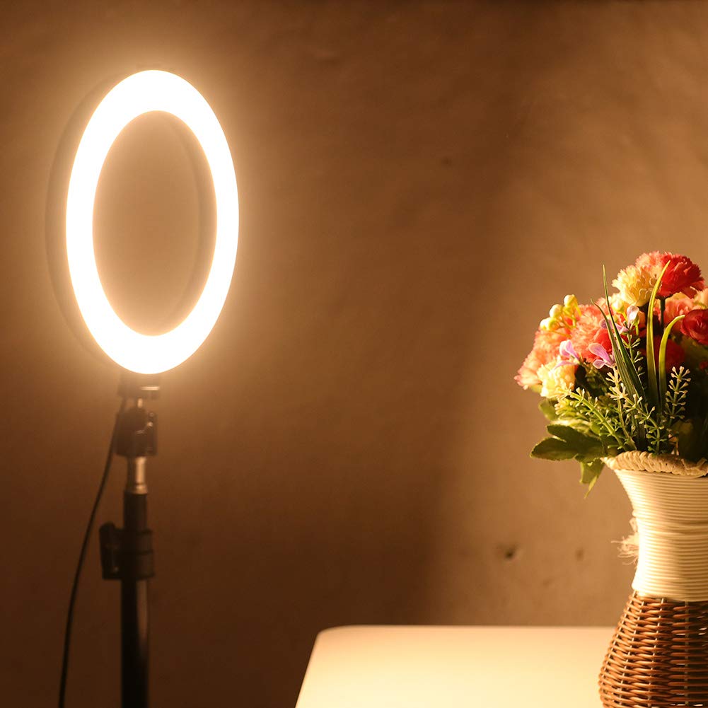 10 Inch Dimmable LED Ring Light with Foldable Tripod & Phone Holder - Perfect for Indoor/Outdoor Photography, Video Shooting, YouTube, TikTok, and Live Streaming