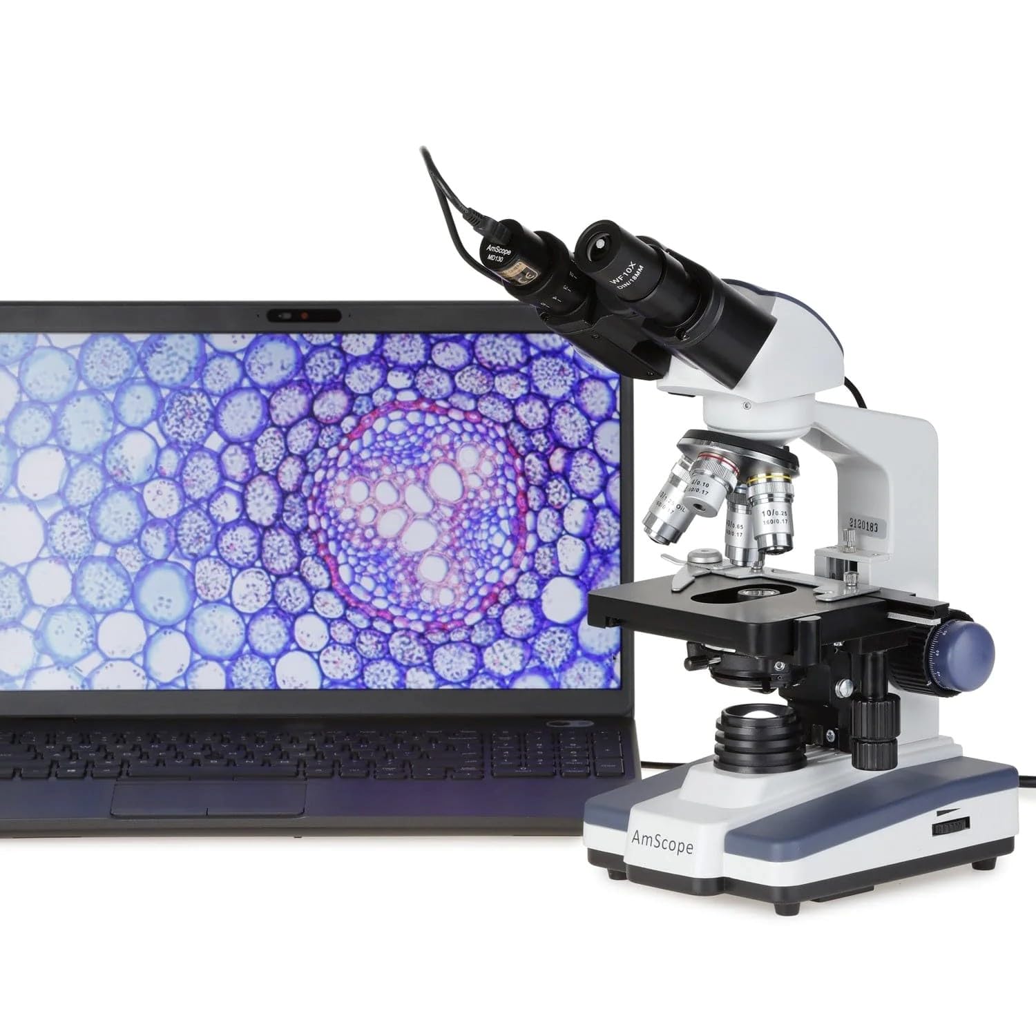 AmScope B120C-WM-PS100 Binocular Compound Microscope with 40X-2500X Magnification - LED Illumination, Abbe Condenser & Mechanical Stage - Includes 100 Prepared Slides & Book - Perfect for Students, Lab Research & Biological Studies