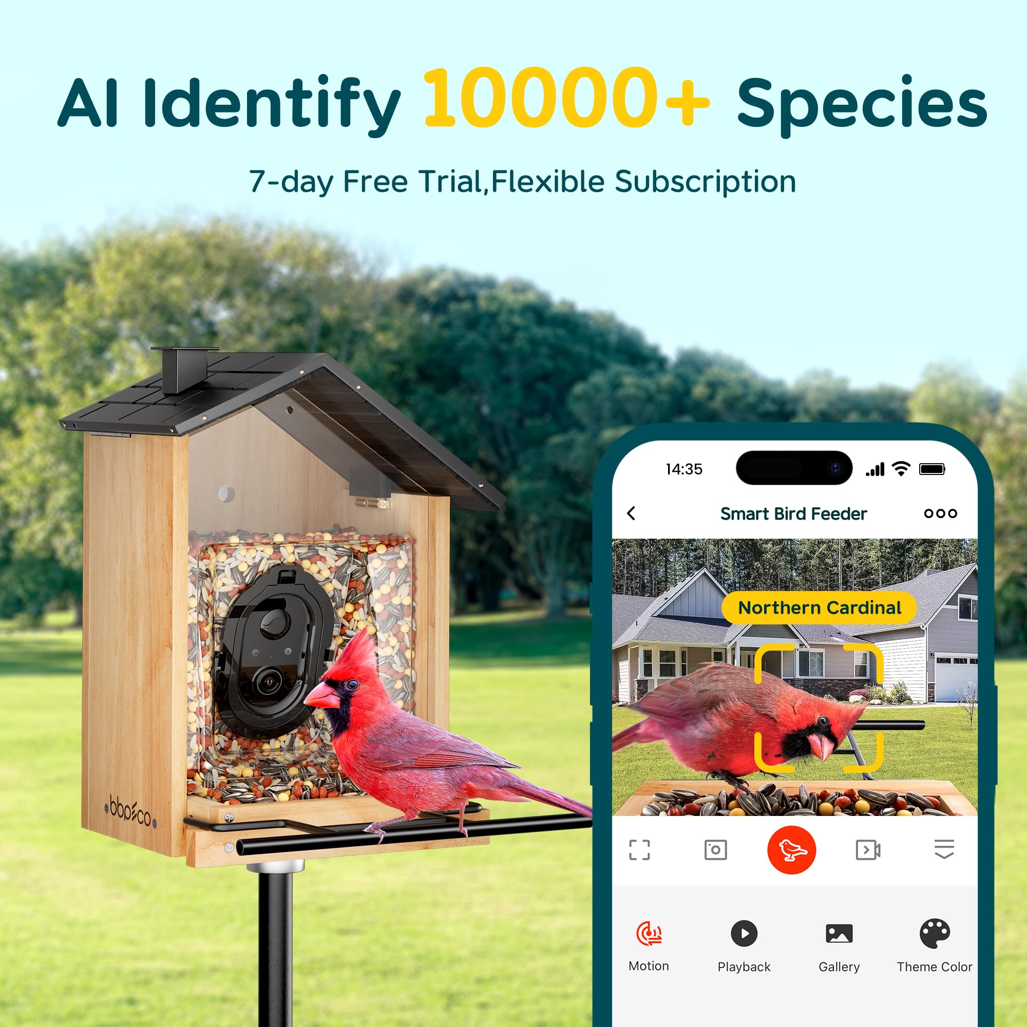 Solar Powered Bird Feeder Camera with AI Recognition - 3L Capacity Smart Bird Feeder Identifies 10,000+ Species | Cloud Storage, Auto Capture & Instant Alerts | Perfect Gift for Bird Watchers | Ideal for Backyard Birding & Wildlife Observation