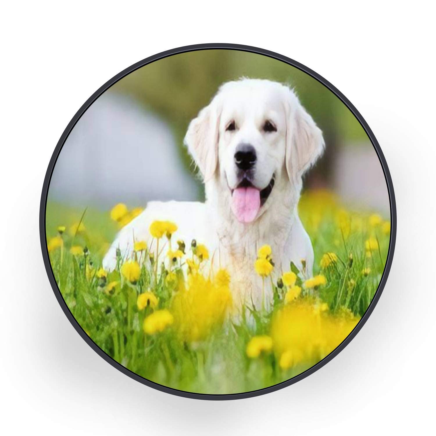 Golden Retriever Dog Outdoor Summer Canvas Wall Art - Ready to Hang Round Black Framed Painting (32 Inch) - Perfect for Bedroom & Living Room Decor - Dog Lover Gift Idea for Home Office & Pet-Friendly Spaces