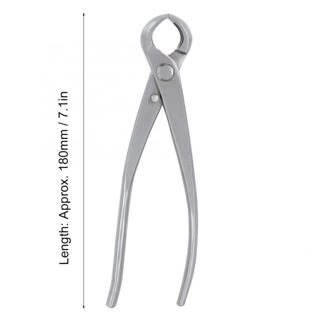 180mm Stainless Steel Knob Cutter - Professional Garden Bonsai Scissors & Tree Pruning Shears for Gardening, Landscaping, and Plant Care