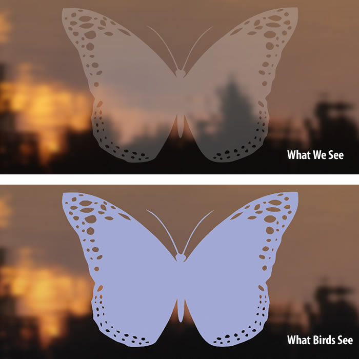 Duncraft Bird Safe® Butterfly Window Decals - Prevent Bird Collisions | UV-Resistant Window Stickers for Home & Office Use