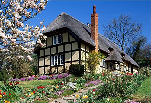 England Suburb -E4