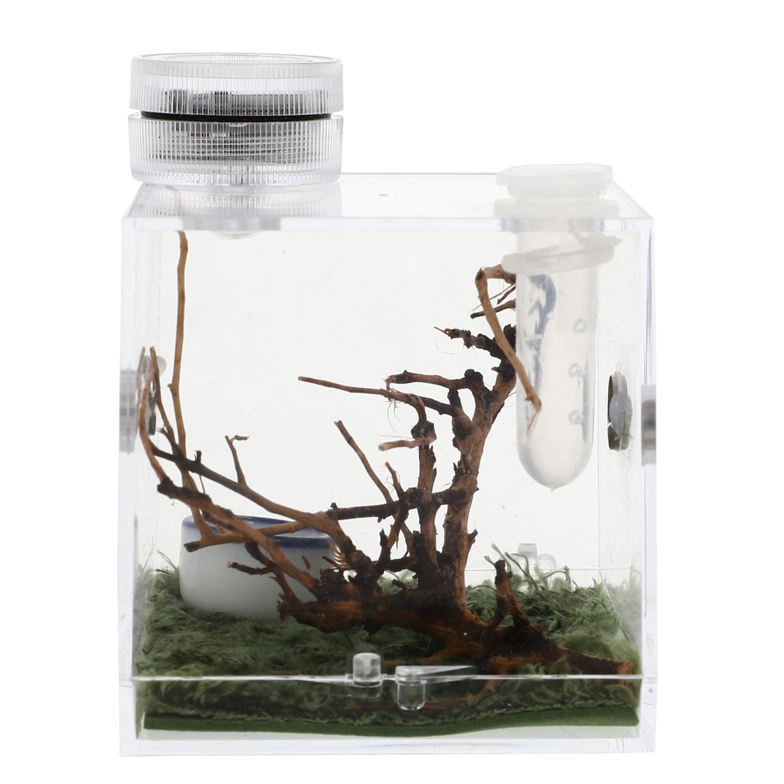 Premium Acrylic Reptile Terrarium with Built-in LED Light - 20 Gallon Transparent Spider Enclosure Habitat for Tarantulas, Lizards & Small Pets - Perfect for Home, Office or Classroom Display