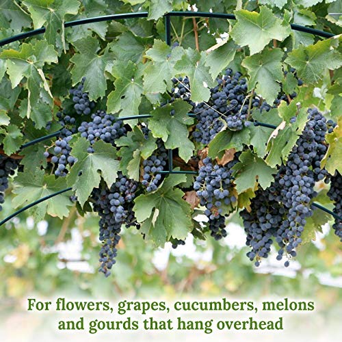 Heavy-Duty Camel Greenhouse Replacement Frame for Outdoor Large Hot Garden House - Supports Climbing Plants, Flowers & Vegetables (6.5'x7'x7.2') - Perfect for Vine Crops, Vertical Gardening & Backyard Greenhouses