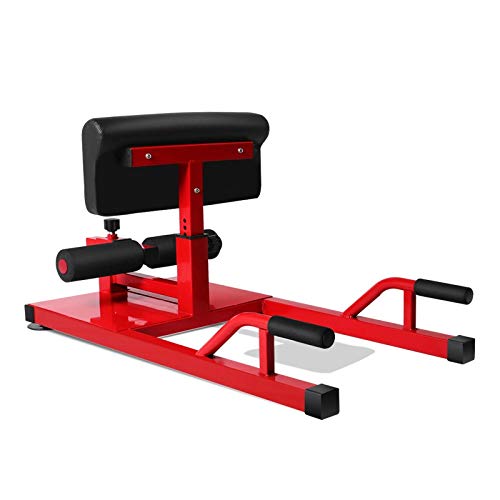 Sissy Squat Machine with Resistance Ropes - Home Gym for Leg & Ab Workout - Perfect for Home Fitness Training