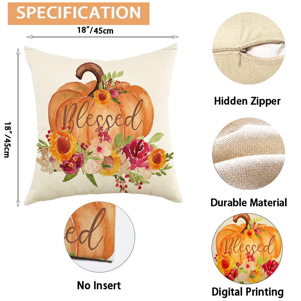 18x18 Inch Pumpkin Throw Pillow Cover - Autumn Thanksgiving Farmhouse Decor, Harvest Cushion Case for Sofa, Couch & Seasonal Home Decoration | Perfect for Fall Living Room, Porch & Cozy Farmhouse Style