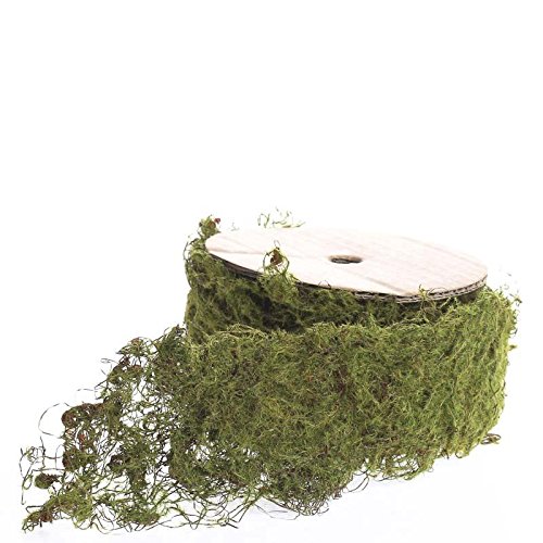 6.5 Feet Bendable Wired Moss Ribbon - Decorative Green Vine for Fairy Gardens, Terrariums, DIY Crafts - Perfect for Home Decor, Floral Arrangements & Scrapbooking