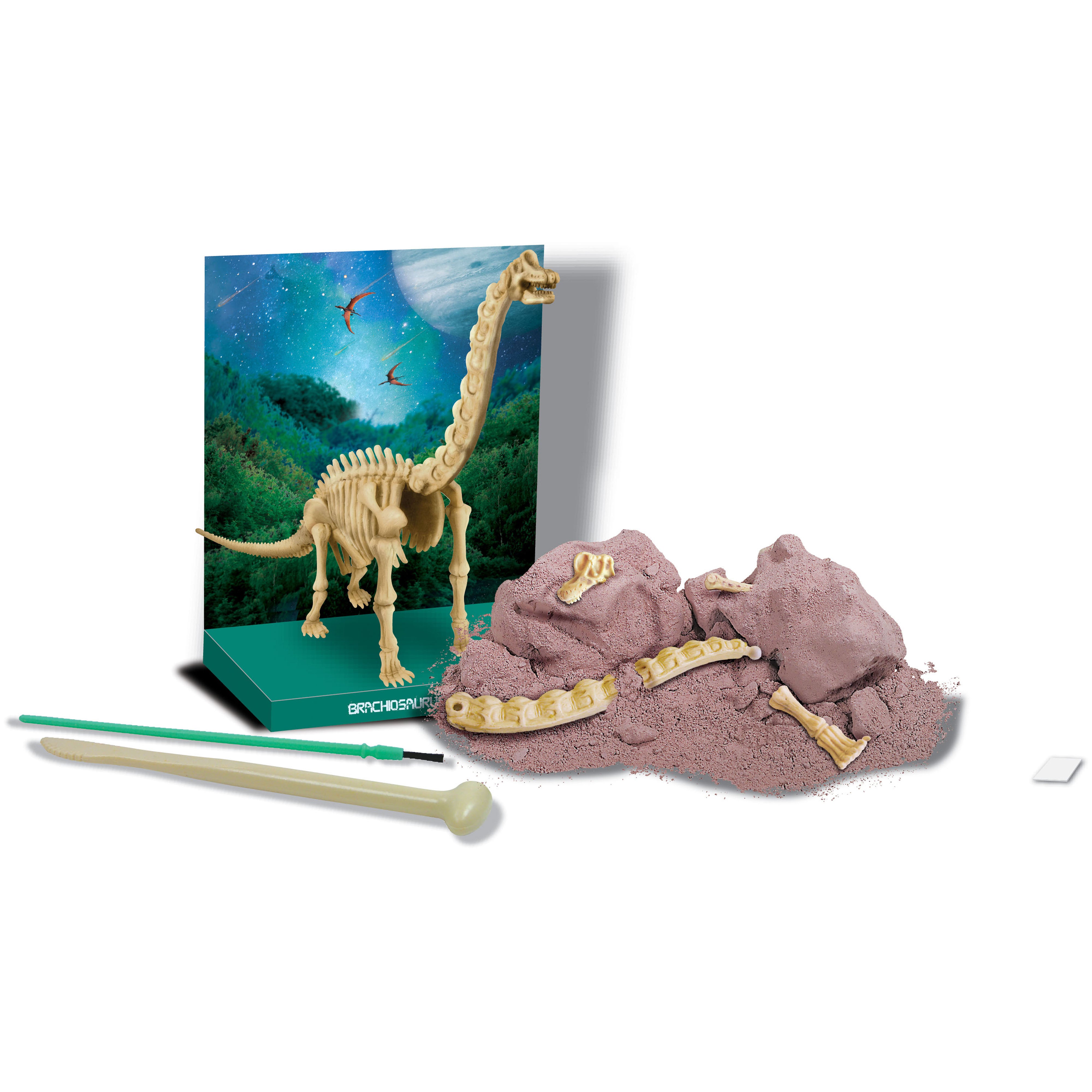 4M Kidz Labs Brachiosaurus Skeleton Excavation Kit - Dinosaur Fossil Digging Toy for Kids, STEM Educational Science Project for Children - Perfect for Birthday Gifts & Classroom Learning Activities