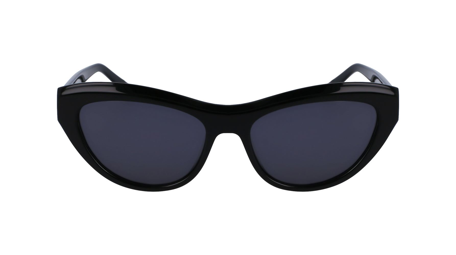 Ferragamo SF1103S Sunglasses for Women - Luxury Designer Shades with UV Protection - Perfect for Outdoor Activities, Travel, and Fashion Accessories