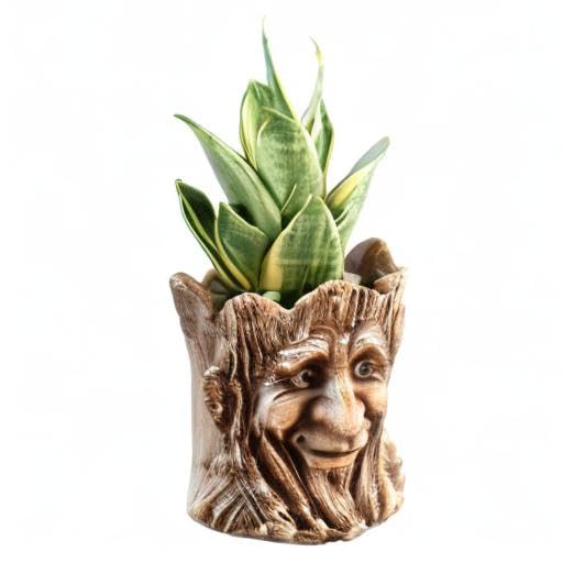 Funny Smiling Face Resin Planter Pot with Drainage Hole - Succulent Plant Holder, Pencil Cup & Desk Organizer for Office, Home Decor & Garden Gifts - Perfect for Indoor Plants, Workspace Organization & Unique Gift Giving