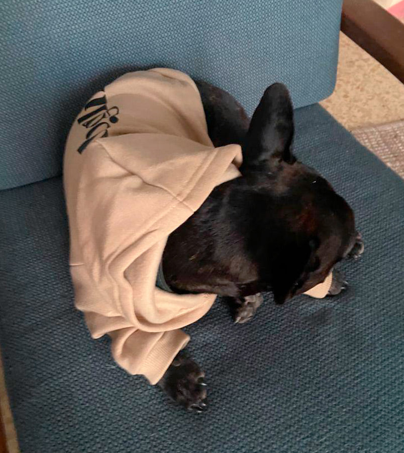 BRKLZ Pups #DogLife Hoodie - Trendy Dog Hoodies for Small & Large Breeds | Perfect for Pet Lovers, Dog Walks & Instagram Photos