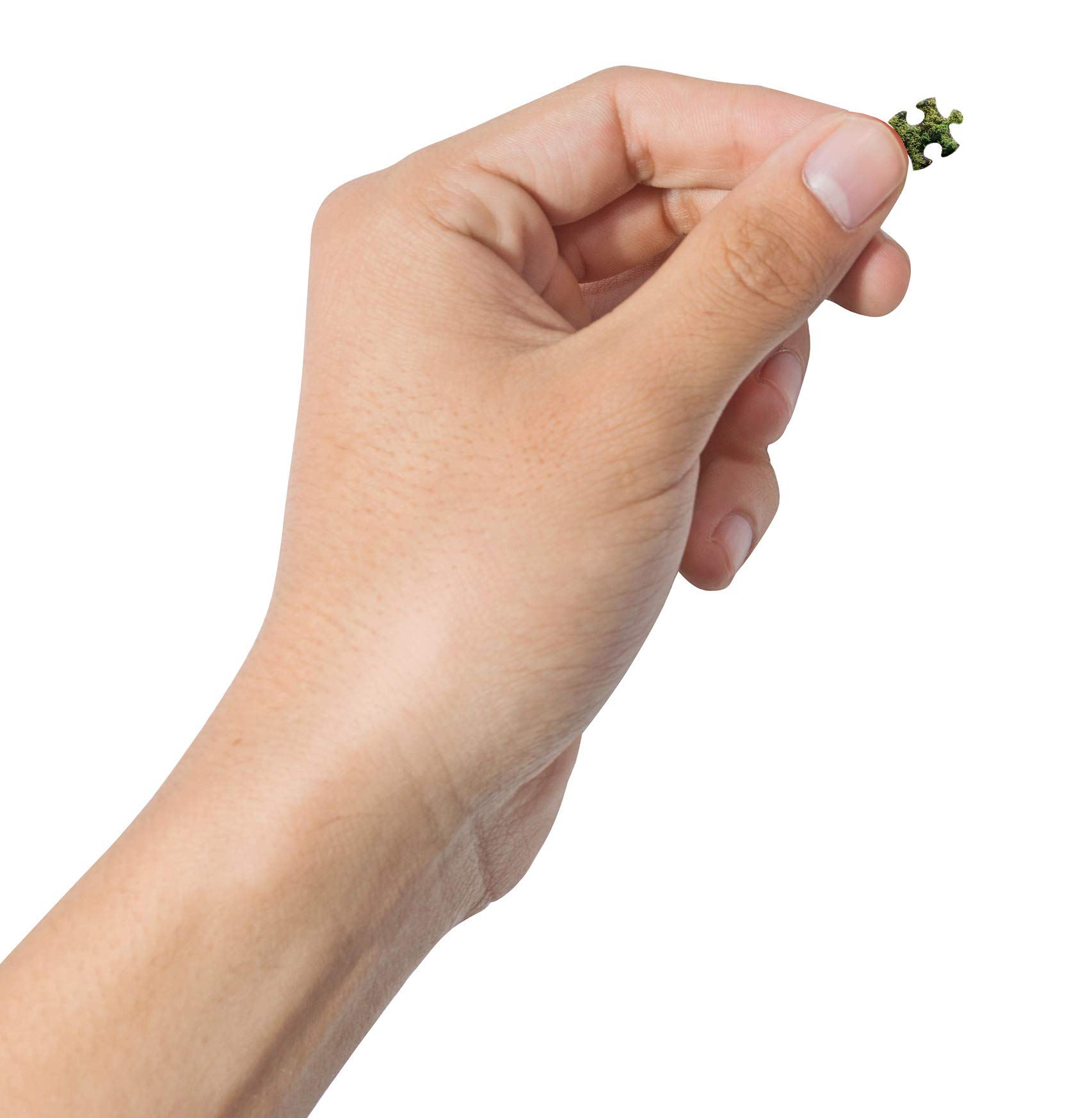 Cheatwell Games 13190 EA World's Smallest Dutch Windmills Puzzle - Miniature Travel Puzzle for Adults & Kids - Perfect for Road Trips, Airplane Travel & Office Desk Decor