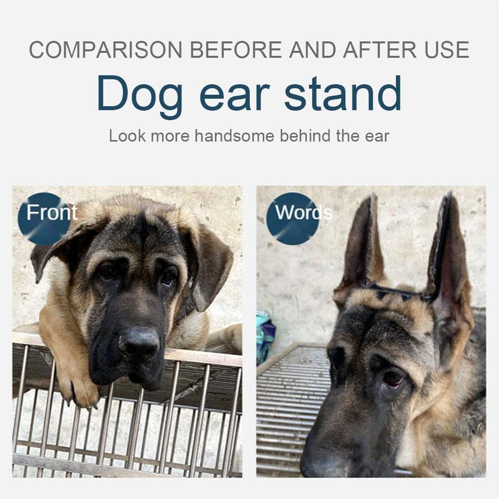 Doberman & Samoyed Dog Ear Support - Pet Ear Correction Tool for Ear Care & Vertical Stand | Perfect for Training, Grooming & Show Dogs