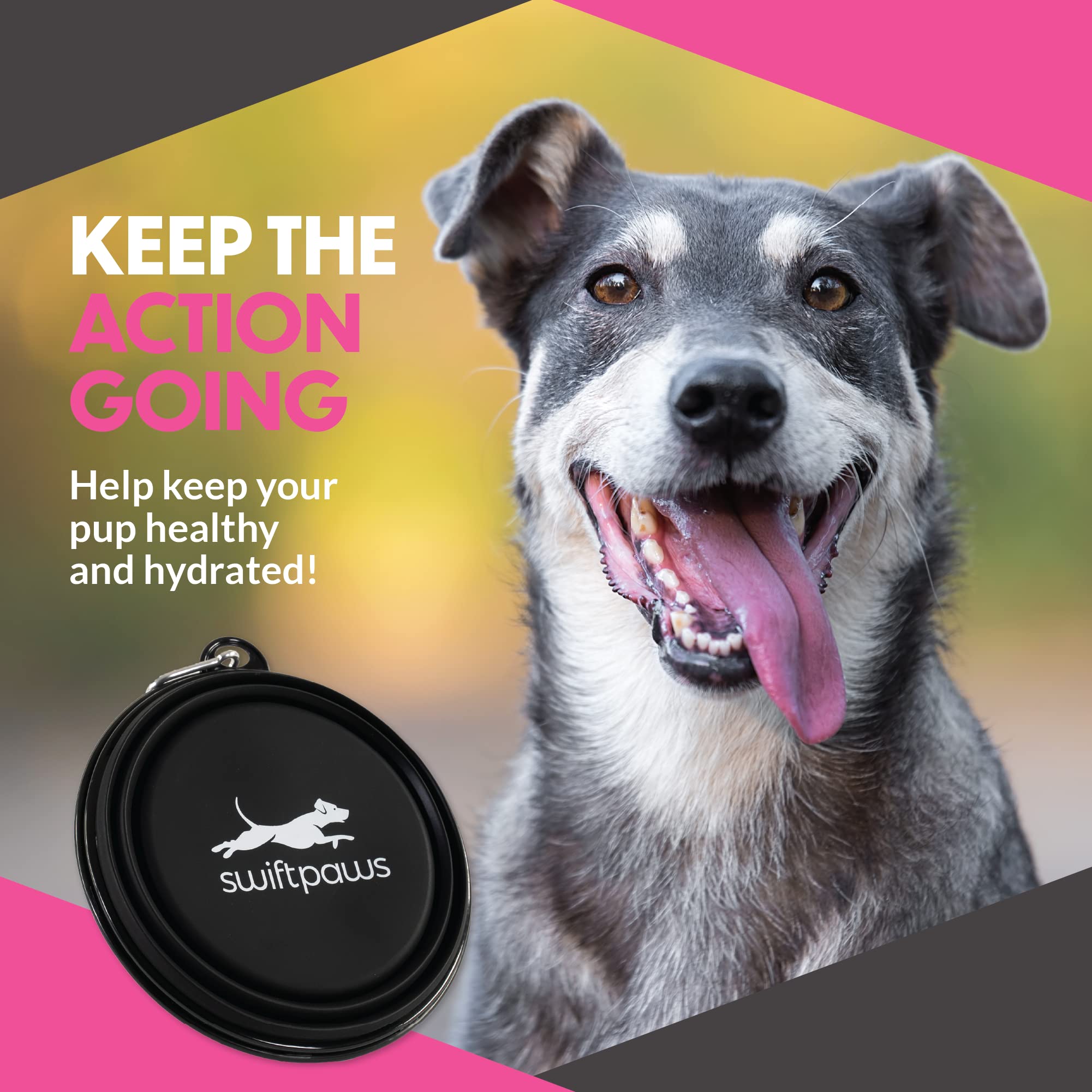 SwiftPaws Collapsible Dog Bowl - 32oz Portable Water & Food Dish for Small & Large Breeds - Lightweight Foldable Travel Bowl with Keychain Hook - Durable Silicone Pet Bowl (Black) - Perfect for Hiking, Camping & Outdoor Adventures
