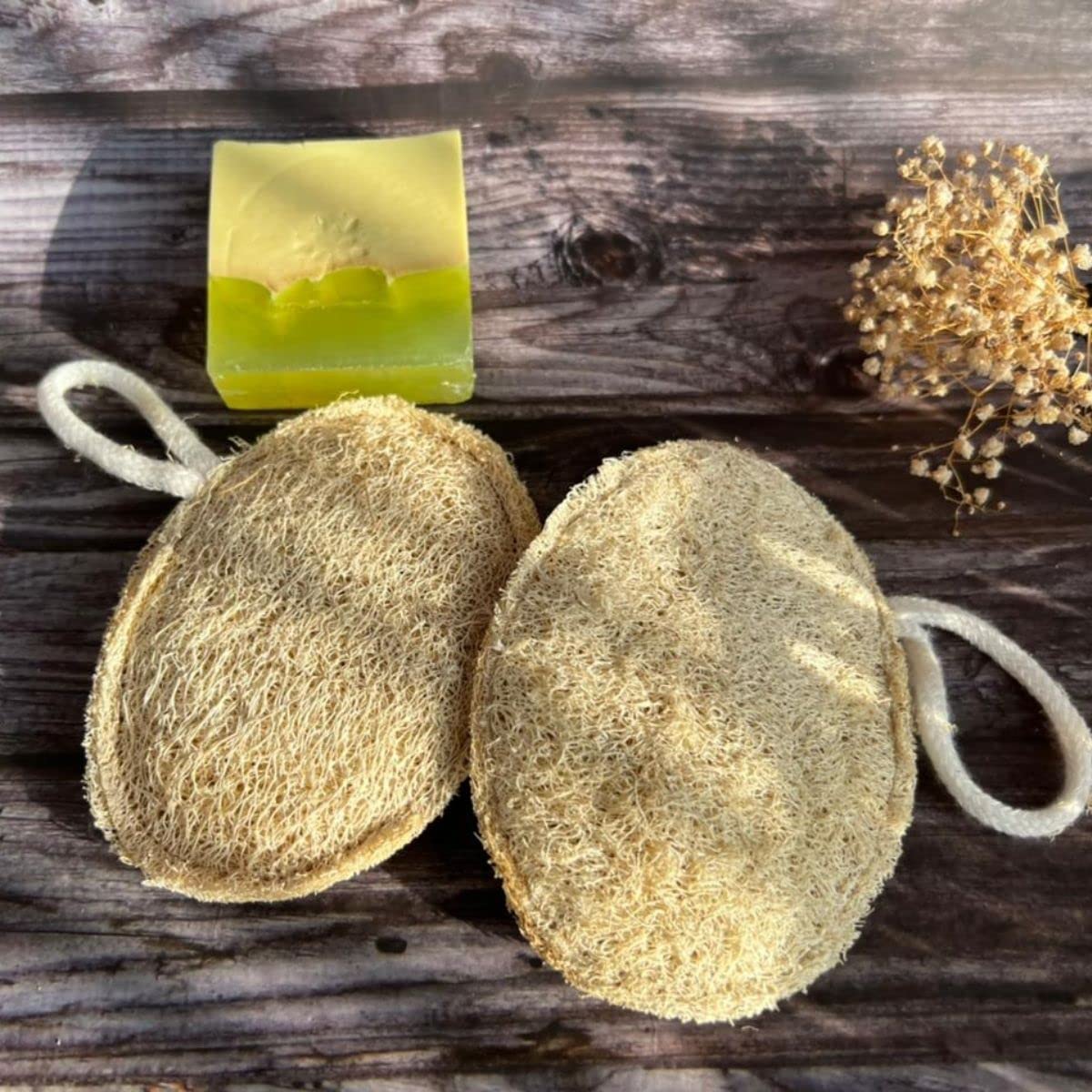 Organic Oval Loofah for Bath & Shower - 100% Natural Exfoliating Sponge (Pack of 2) | Gentle Skin Cleansing & Body Scrub for Spa, Home & Travel Use